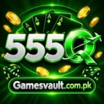Featured image for the 555Q guide