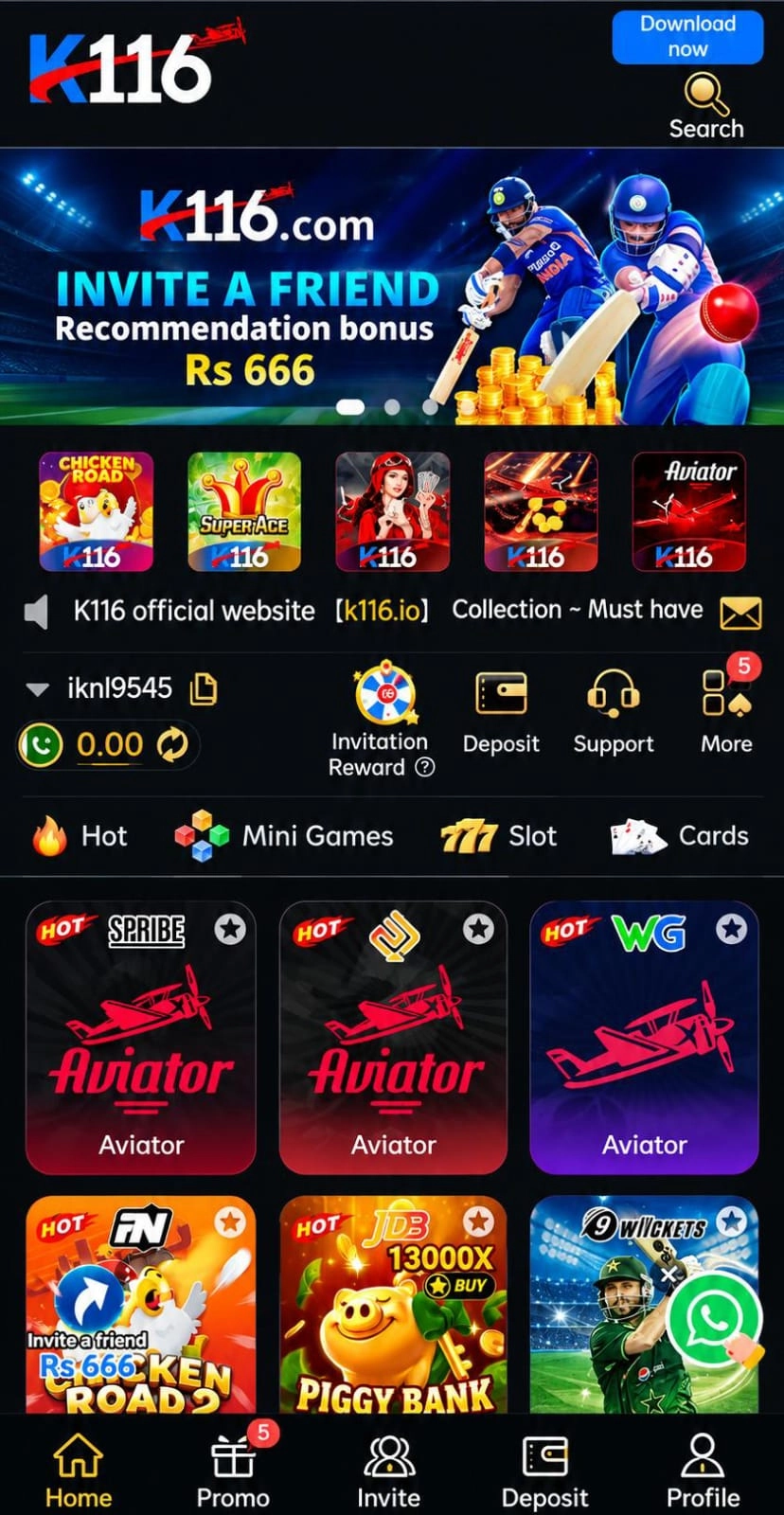 Supporting image for the k116 game guide